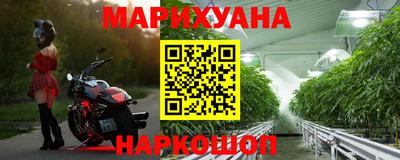 apvp Гагарин