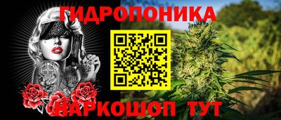 apvp Гагарин