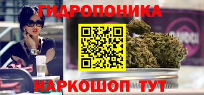 apvp Гагарин