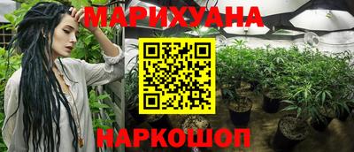 apvp Гагарин