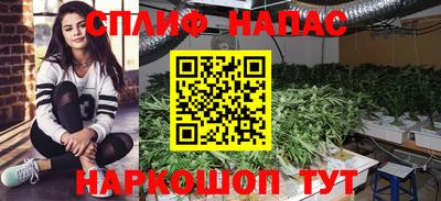 прущая мука Гатчина