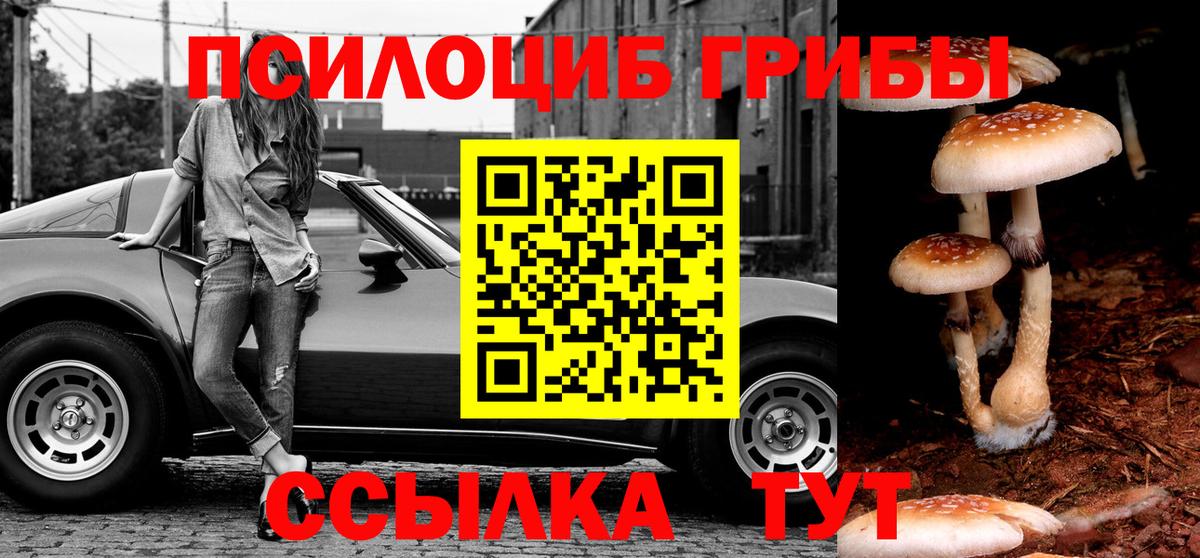 Псилоцибиновые грибы прущие грибы Чехов