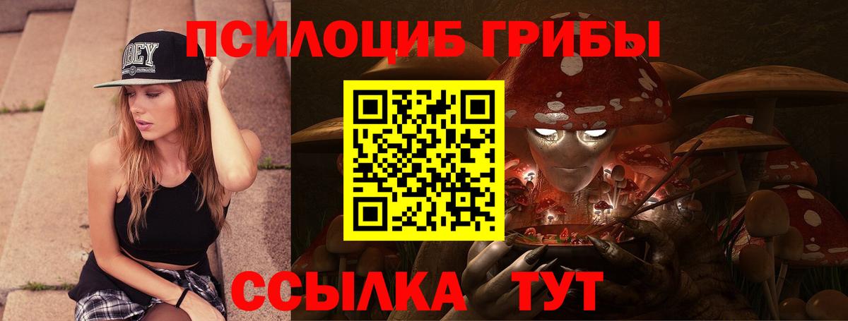 Псилоцибиновые грибы MAGIC MUSHROOMS  Вход с VPN  купить наркотики сайты  Чехов 